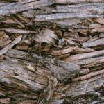 How To Get Wood Stain Out Of Clothes In Simple Steps