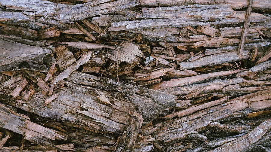 How To Get Wood Stain Out Of Clothes In Simple Steps